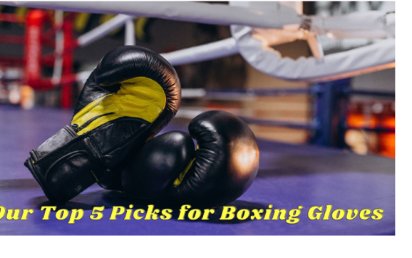 Top 5 Boxing Gloves to Protect Your Hand